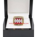 AFC 1993 Buffalo Bills America Football Conference Championship Ring, Custom Buffalo Bills Champions Ring